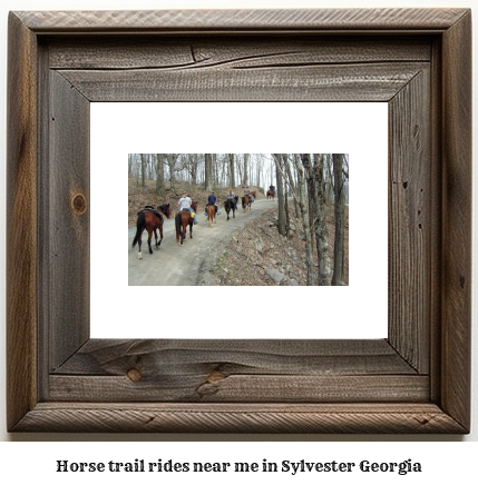 horse trail rides near me in Sylvester, Georgia